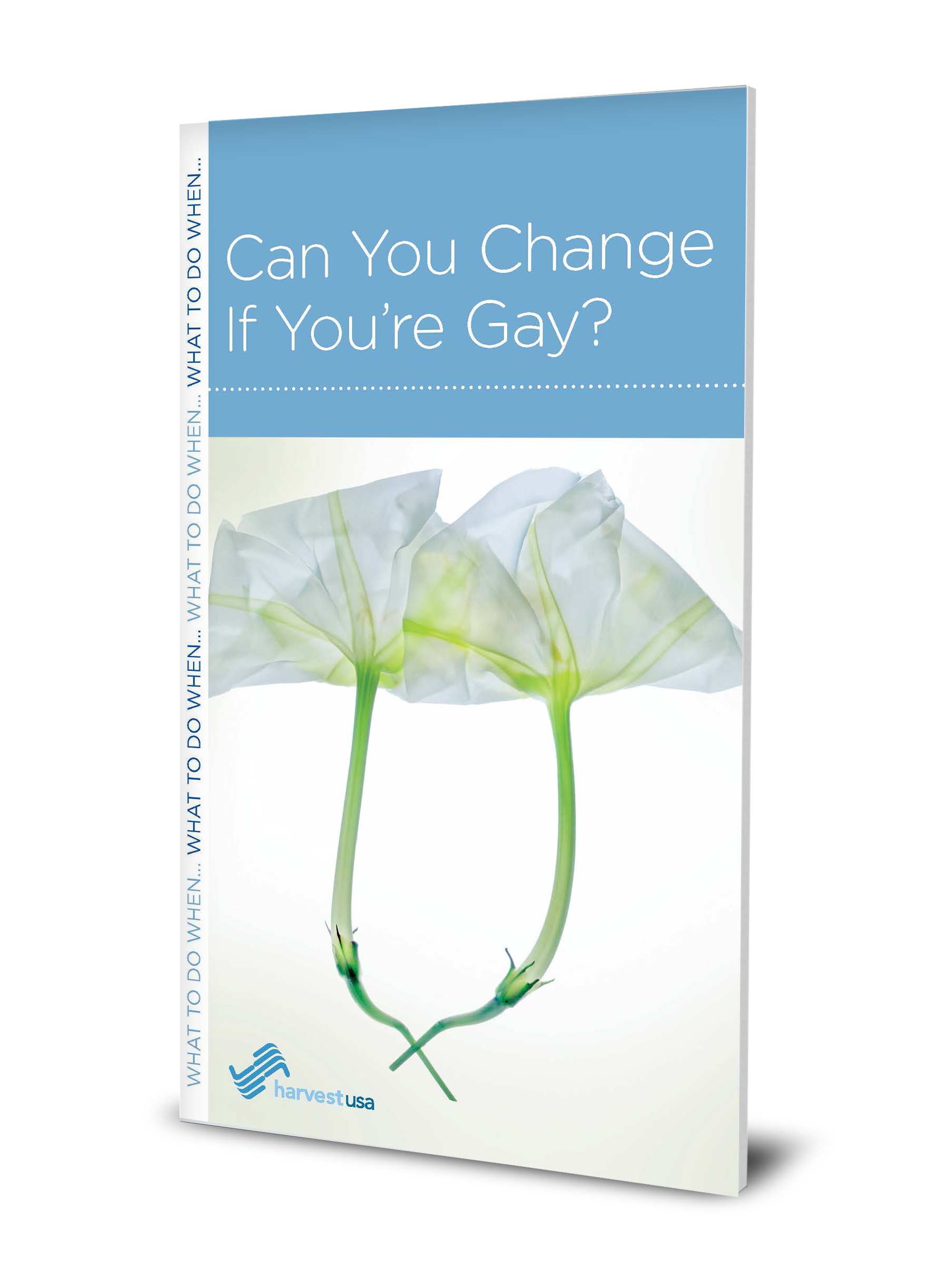 Can You Change If You're Gay? (Minibook) Harvest USA