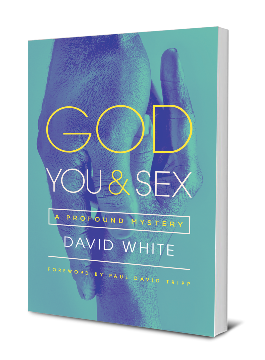 God, You, & Sex: A Profound Mystery