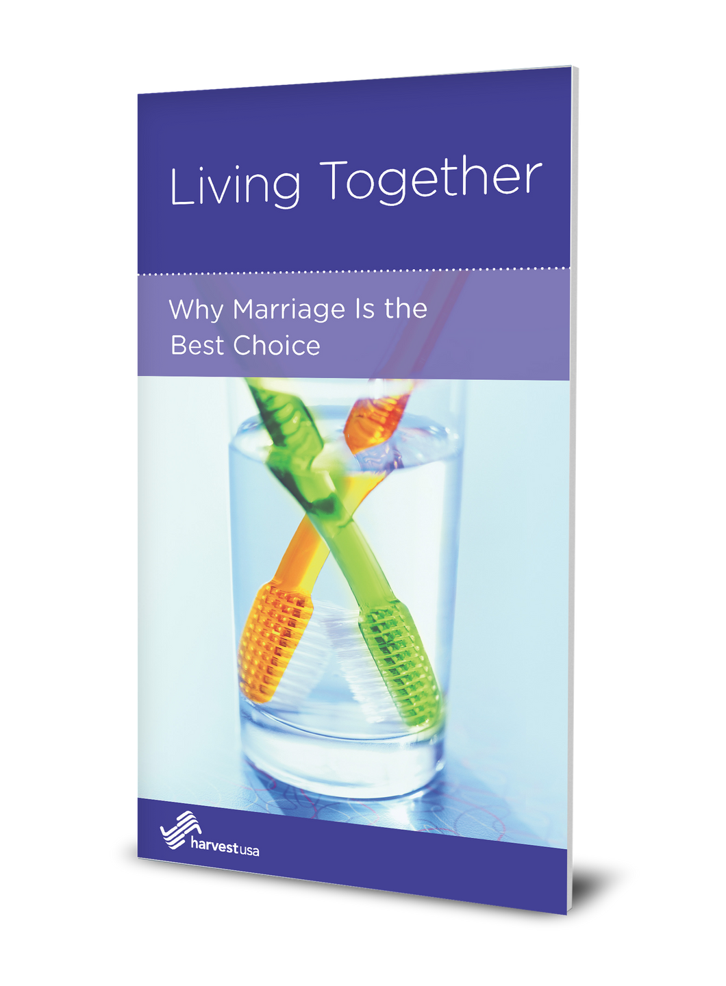 Living Together: Why Marriage is the Best Choice (Minibook)