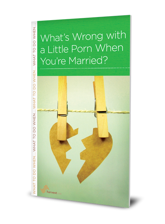 What's Wrong with a Little Porn When You're Married? (Minibook)