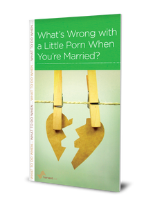 What's Wrong with a Little Porn When You're Married? (Minibook)