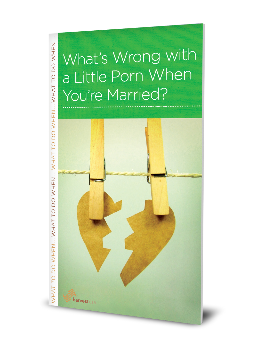 What's Wrong with a Little Porn When You're Married? (Minibook)