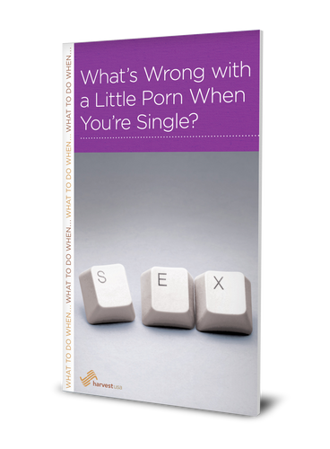 What's Wrong with a Little Porn When You're Single? (Minibook)