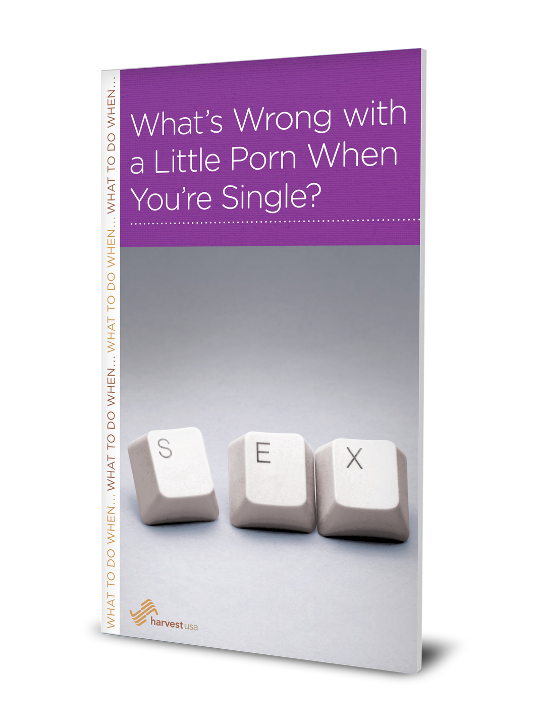 What's Wrong with a Little Porn When You're Single? (Minibook)