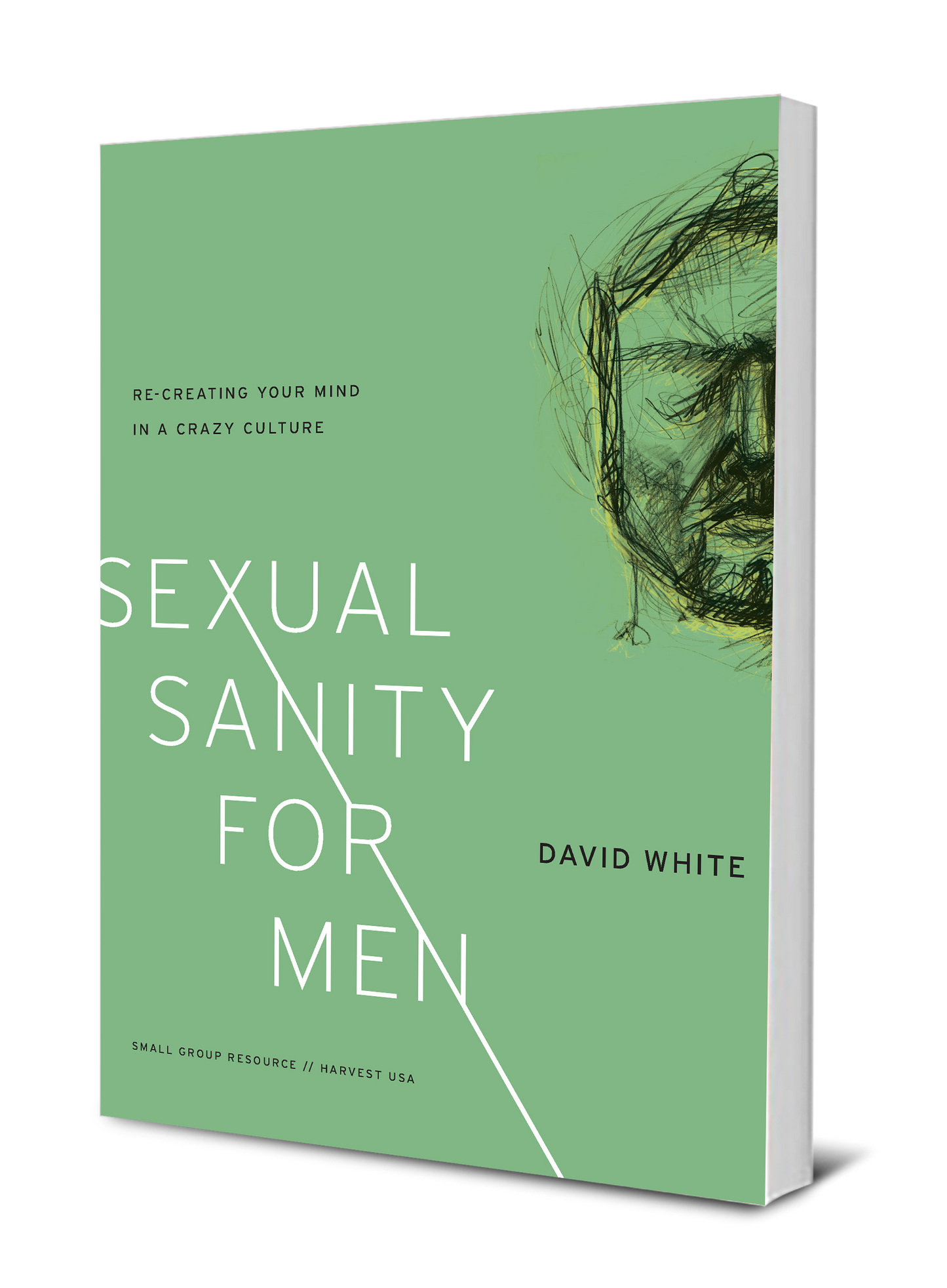 Sexual Sanity for Men: Re-Creating Your Mind in a Crazy Culture